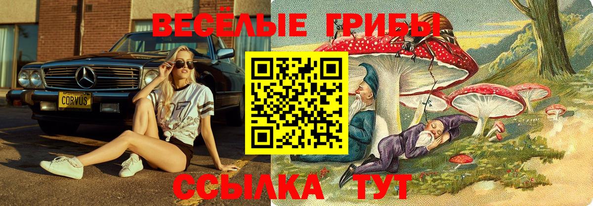 Галлюциногенные грибы Cubensis Майский