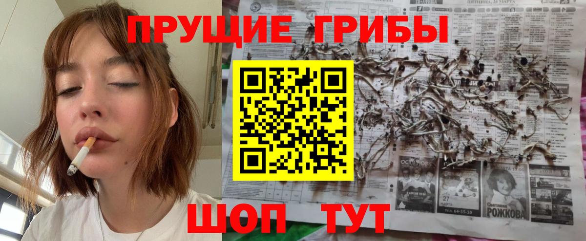 Майский  Псилоцибиновые грибы Cubensis  Вход с VPN 
